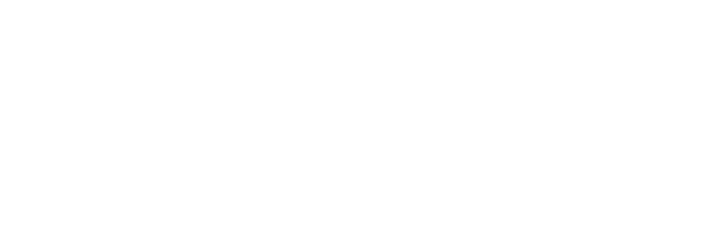 Platinum One Solutions